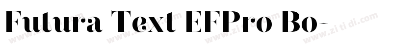 Futura Text EFPro Bo字体转换